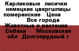 Карликовые “лисички“  немецкие цвергшпицы/померанские › Цена ­ 35 000 - Все города Животные и растения » Собаки   . Московская обл.,Долгопрудный г.